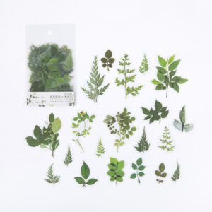 Leaves & Vines Bullet Journaling Sticker Set