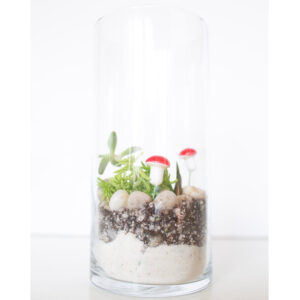 DIY Kit, Succulents Terrarium Kit Tall Cylinder